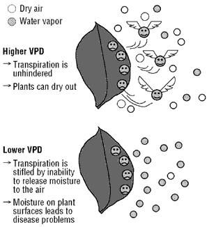 Vapor Pressure Deficit example